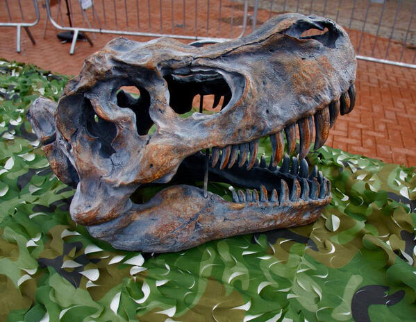 Dinosaurs