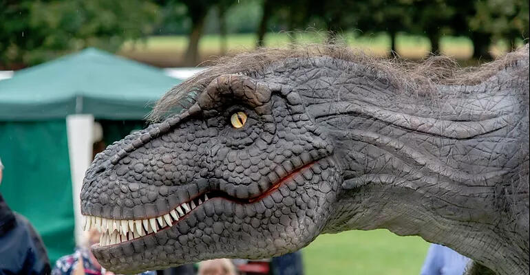 Meet a dinosaur